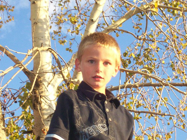 Tanner Born 2001 (Brandy)